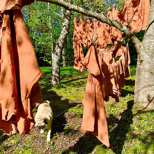 Shirts hung on a clothesline to dry after being dyed