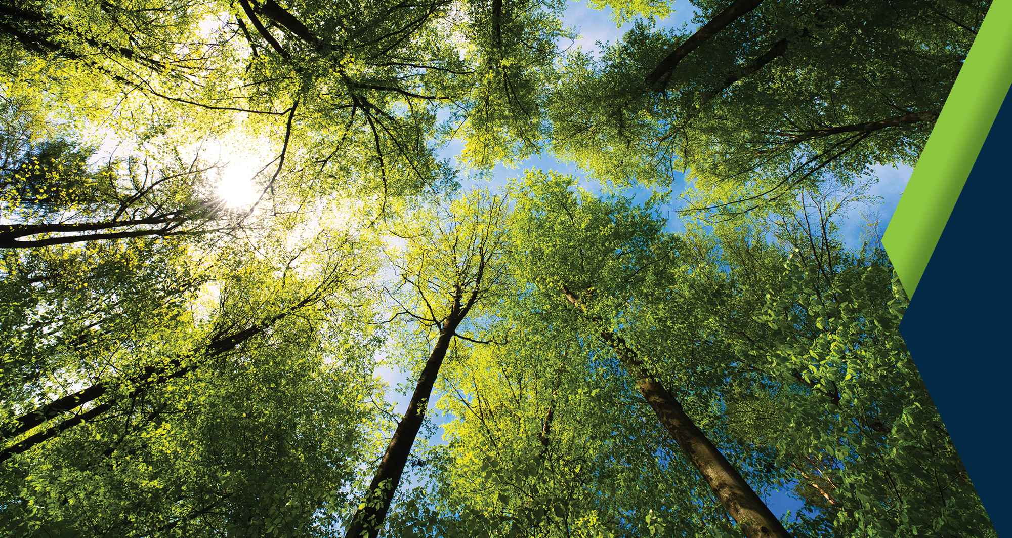  - Atlantic Business Magazine