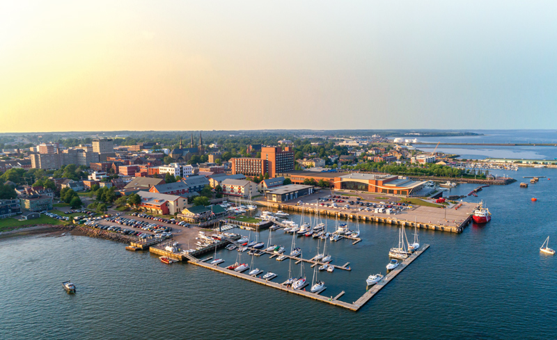 a view from above of a town or city nestled in wooded neighbourhoods, with a marina with sailboats on the shore of the ocean