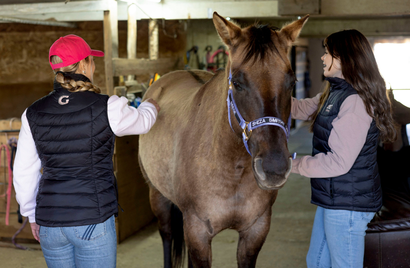 two young women (the same two from the second photo) are standing in a stables brushing a Brown horse that is standing between them. The women are wearing black puffer vests that have the LEGIT Western Wear logo on them