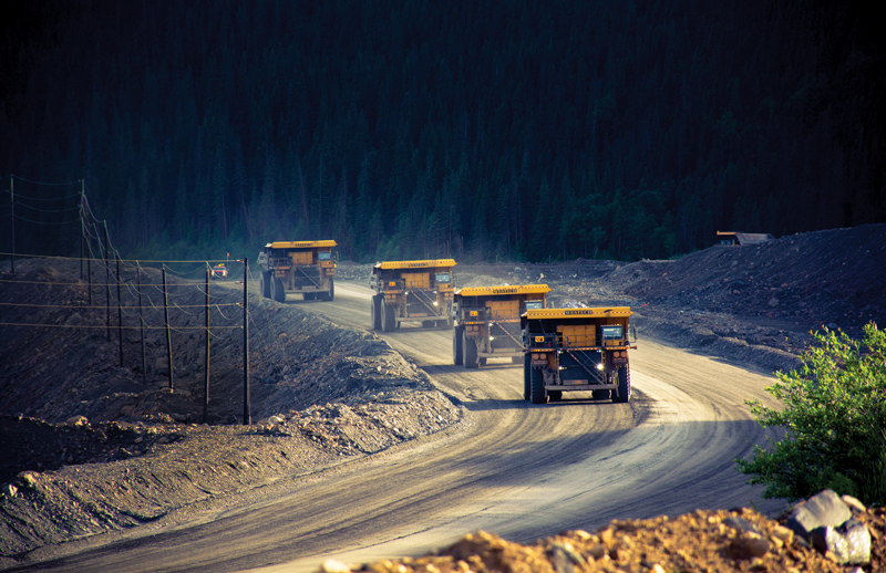 4 enormous mining trucks are driving on a gravel road at a mine site, with thick evergreen wooded hills behind them.the late day sun is casting long shadows of the trucks on the gravel and the side of the road.